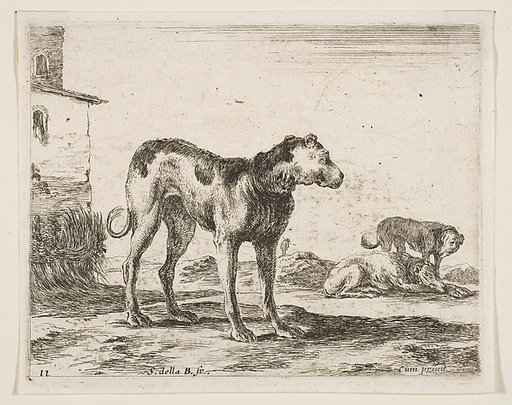 Dogs, plate 11 from "Various Animals" (Diversi Animali)