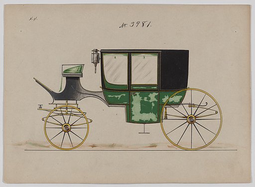 Coach #3981