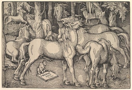 Group of Seven Horses