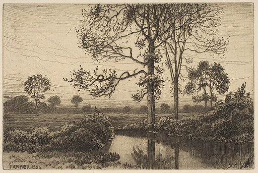Autumn's Grey and Melancholy