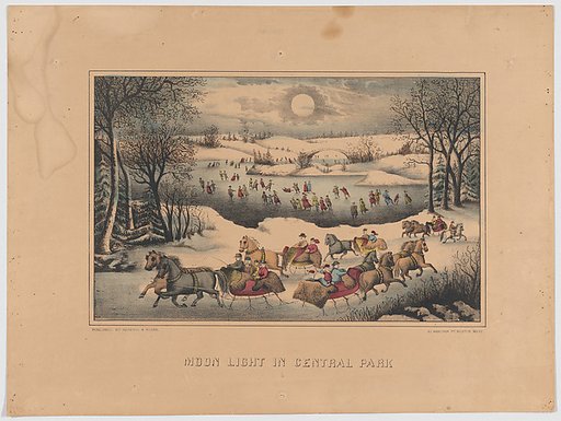 Moon Light in Central Park