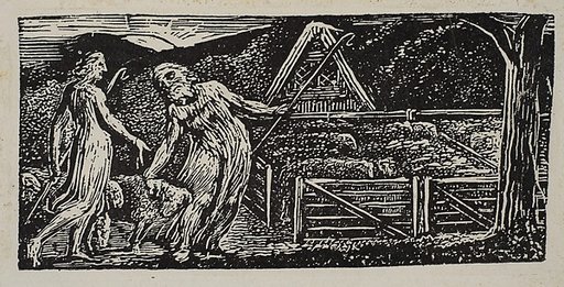 Thenot and Colinet Lead Their Flocks Together, from Thornton's "Pastorals of Virgil"