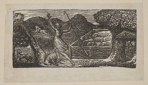 Shepherd Chases Away a Wolf, from Thornton's "Pastorals of Virgil"