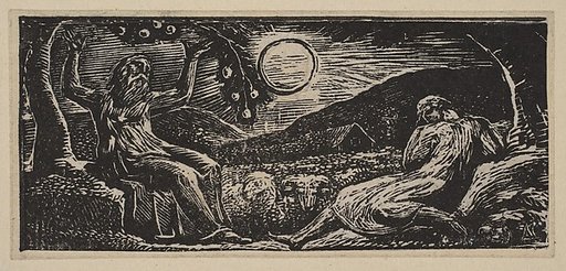 Thenot Under a Fruit Tree, from Thornton's "Pastorals of Virgil"