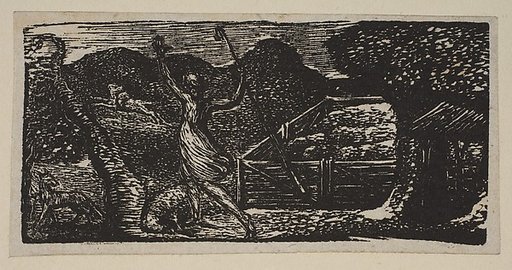 Shepherd Chases Away a Wolf, from Thornton's "Pastorals of Virgil"