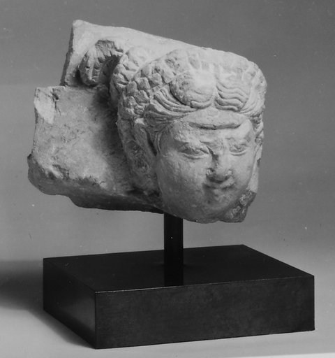 Female Head