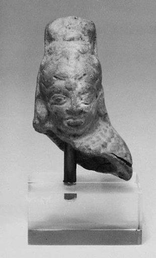 Head of a Female