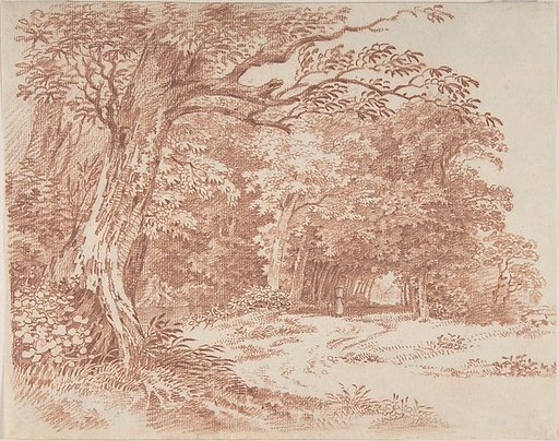 Wooded Landscape