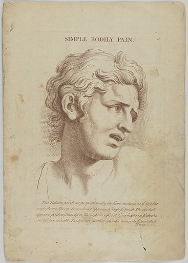 Simple Bodily Pain, plate 12 from "Heads Representing the Various Passions of the Soul; as they are Expressed in the Human Countenance: Drawn by that Great Master Monsieur Le Brun"