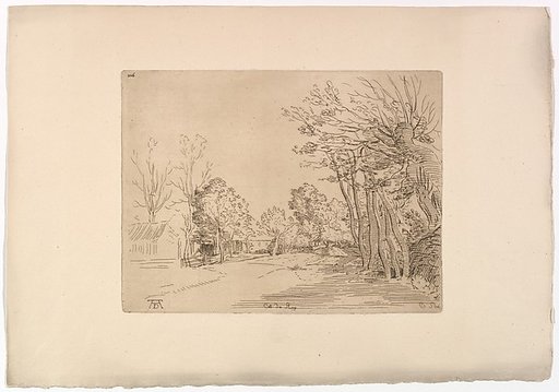 Landscape after Dürer
