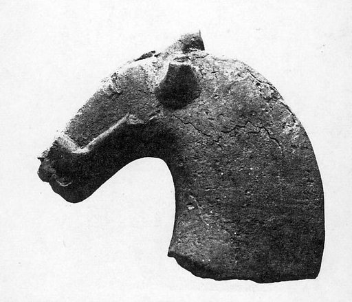 Fragment of a Horse's Head