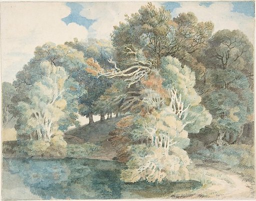 Trees by the lake, Peamore Park, near Exeter, Devon