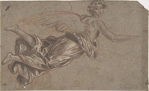 Flying Angel