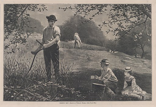 Making Hay, from "Harper's Weekly," Vol. XVI