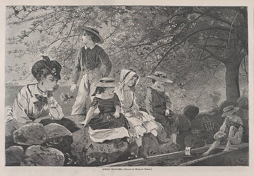 Spring Blossoms (from "Harper's Weekly," Vol. XIV)