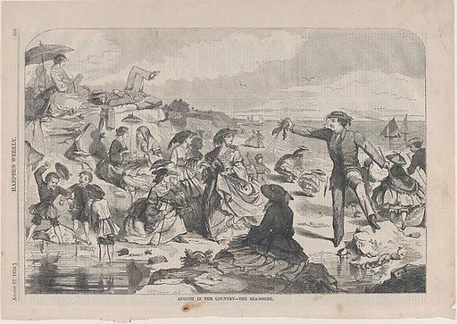 August in the Country – The Sea-Shore (from "Harper's Weekly," Vol. III)