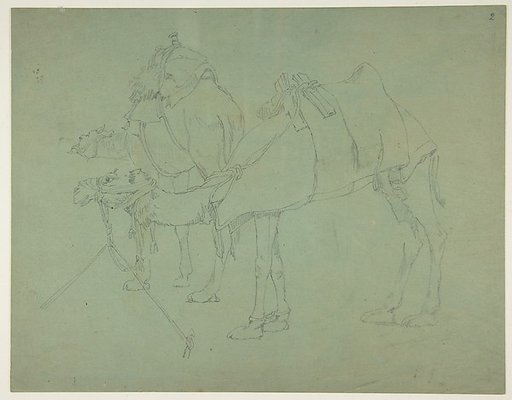Two Camels
