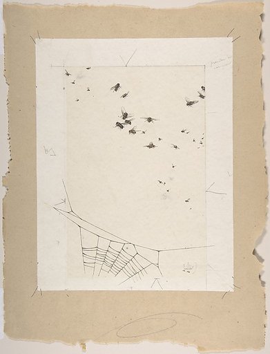 A Swarm of Flies above a Spider's Web
