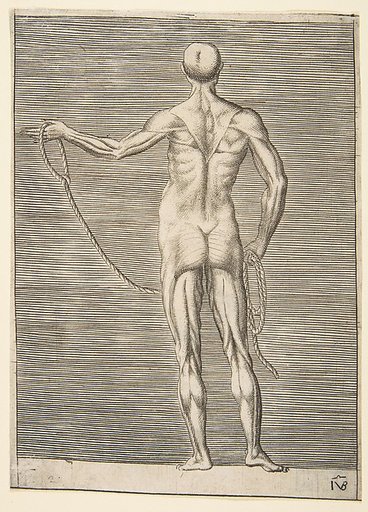 Flayed man seen from behind, holding a rope