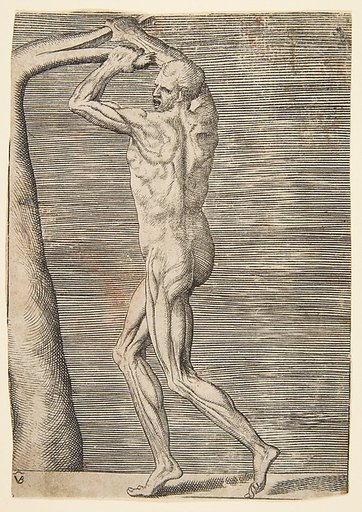 Flayed man holding the branch of a tree