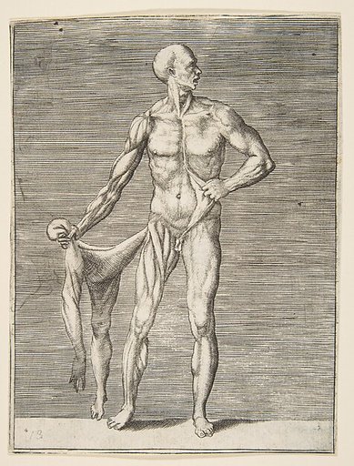 Flayed man seen from the front, holding the skin of his right arm and leg