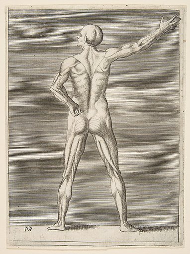 Flayed man seen from behind, his right arm extended