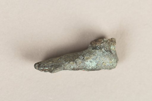 Fragment of a Foot