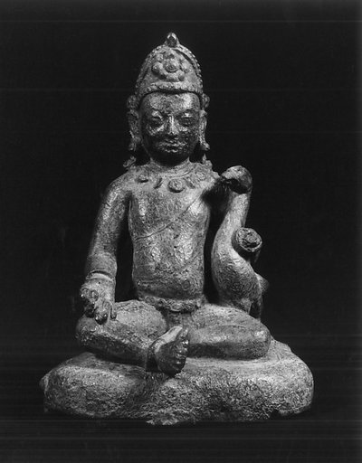 Kumara with a Peacock