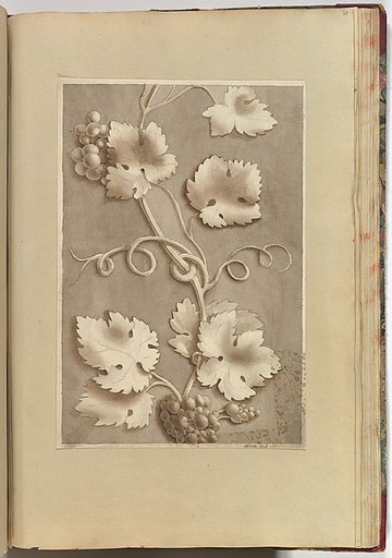Grapes and Vine-leaves