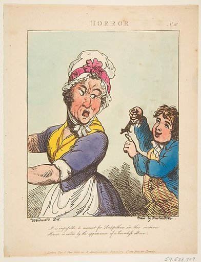 Horror (Le Brun Travested, or Caricatures of the Passions)