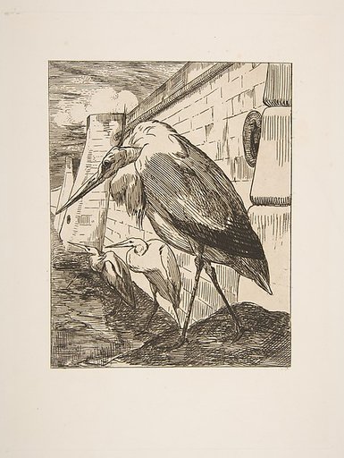 Les Cigognes