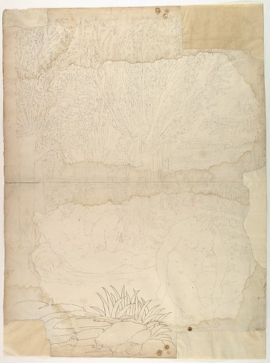 Ornamental Drawing