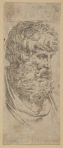 Bust of a Bearded Man