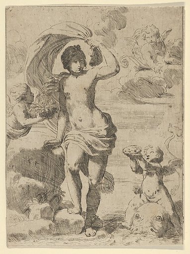 Venus stepping out of the sea, holding a billowing drapery in her left hand, Cupid at right offering pearls while riding a dolphin and a putto at left offering flowers, another in the clouds