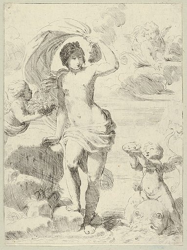 Venus stepping out of the sea, holding a billowing drapery in her left hand, Cupid at right offering pearls while riding a dolphin and a putto at left offering flowers, another in the clouds