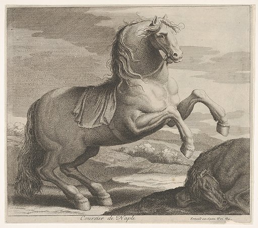 Coursier de Naple