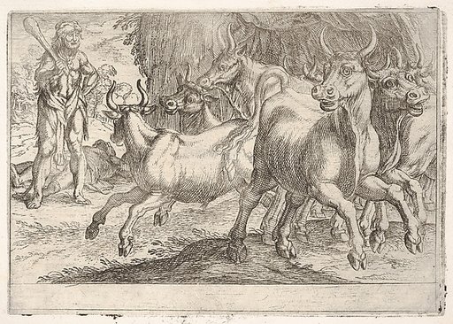 Hercules and the Oxen of Geryones: with a club raised by his right hand, Hercules confronts a group of galloping oxen, from "The Labors of Hercules"