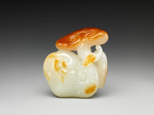 Lingzhi mushrooms