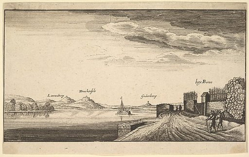 The Rhine near Bonn [copy]