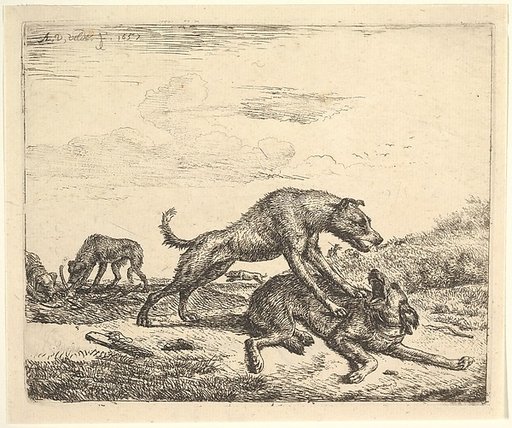 Fighting Dogs, plate 9 from "Different Animals"