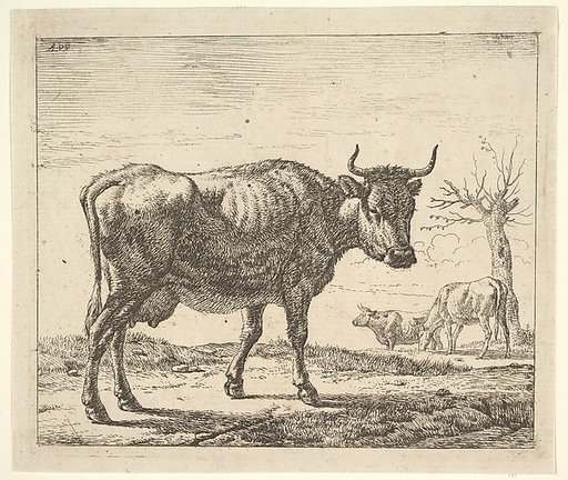 Three Cows, plate 5 from "Different Animals"