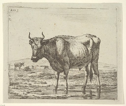 Bull Standing in Water, plate 6 from "Different Animals"