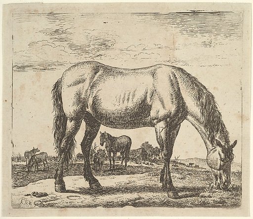 Grazing Horse, plate 7 from "Different Animals"