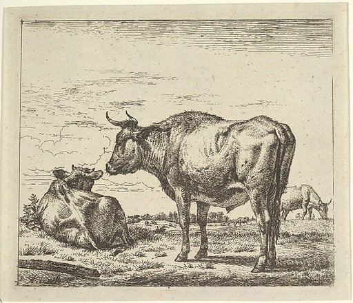 Standing Bull, plate 3 from "Different Animals"