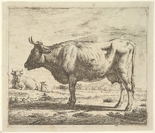Two Cows and a Sheep, plate 4 from "Different Animals"