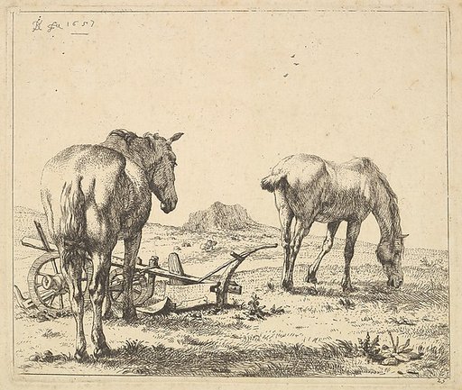Les deux chevaux près de la charrue
