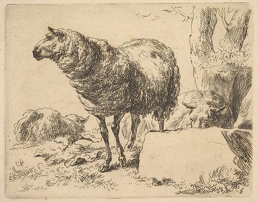 Plate from "The Set of Sheep"