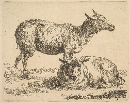 Plate from "The Set of Sheep"