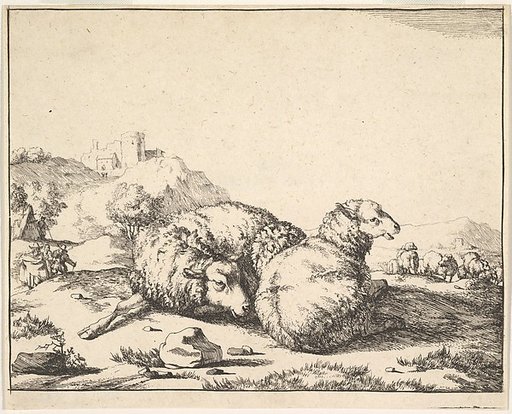 Sheep, from a set of 16 plates