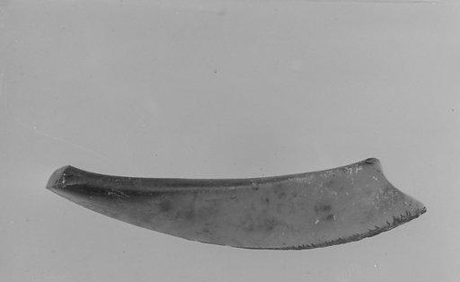 Fragment